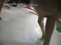 Females having sex with dogs compiled